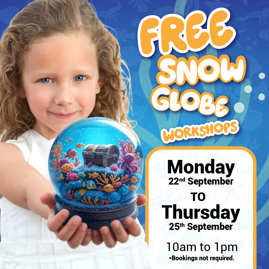 Snow Globe Competition Winners!